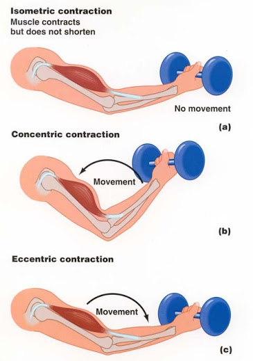 contractions.jpg#s-365,519